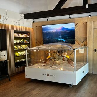 _campingsobec_ instagram